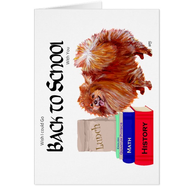 ポメラニア犬新学期 (正面)