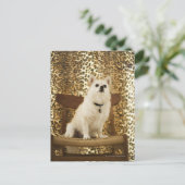 ポメラニア犬混合 ポストカード (スタンド正面)