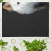 ポメラニア犬犬が暗い キッチンタオル (折り畳み)