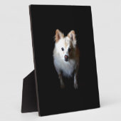 ポメラニア犬犬が暗い フォトプラーク (側面)
