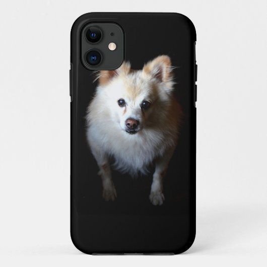 ポメラニア犬犬が暗い Case-Mate iPhoneケース (裏面)
