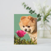 ポメラニア犬犬とバラ葉書 ポストカード (スタンド正面)