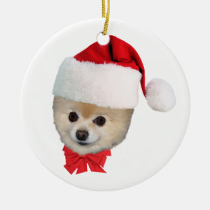 ポメラニア犬犬のクリスマスのオーナメント セラミックオーナメント