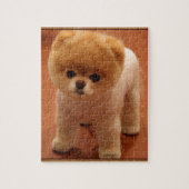 ポメラニア犬犬ペット子犬の小さく愛らしいベビー ジグソーパズル (縦)