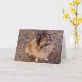 ポメラニア犬犬 カード (黄色い花)