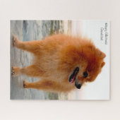 ポメラニア犬犬 ジグソーパズル (横)