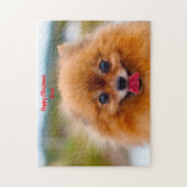 ポメラニア犬犬 ジグソーパズル (縦)