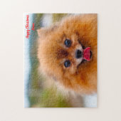 ポメラニア犬犬 ジグソーパズル (縦)