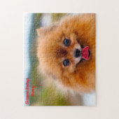 ポメラニア犬犬 ジグソーパズル (縦)