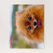 ポメラニア犬犬 ジグソーパズル (縦)