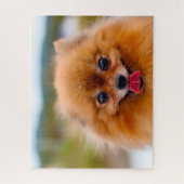 ポメラニア犬犬 ジグソーパズル (縦)