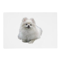 ポメラニア犬犬