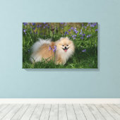 ポメラニア犬立ってカメラを見る キャンバスプリント (インサイチュ (ウッドフロア))