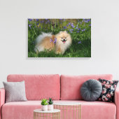 ポメラニア犬立ってカメラを見る キャンバスプリント (インサイチュ (リビング))