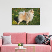 ポメラニア犬立地 キャンバスプリント (インサイチュ (リビング))