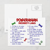 ポメラニア犬財産法2 ポストカード (正面/裏面)