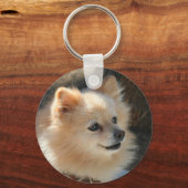 ポメラニア犬鎖 キーホルダー (正面)