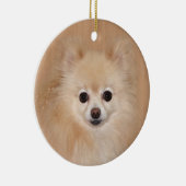 ポメラニア犬顔 セラミックオーナメント (右)