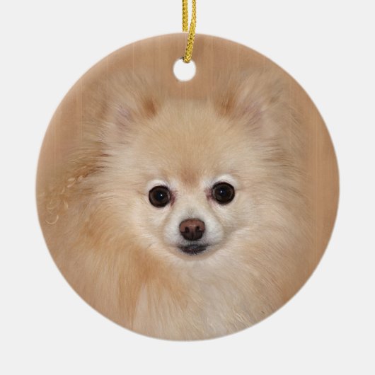 ポメラニア犬顔 セラミックオーナメント (正面)