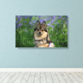 ポメラニア犬 キャンバスプリント (インサイチュ (ウッドフロア))