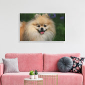 ポメラニア犬 キャンバスプリント (インサイチュ (リビング))