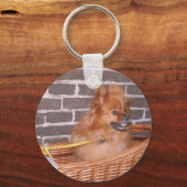 ポメラニア犬 キーホルダー (正面)