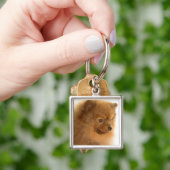 ポメラニア犬 キーホルダー (手)