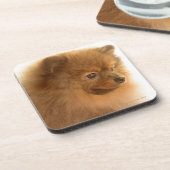 ポメラニア犬 コースター (左側)