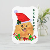 ポメラニア犬 シーズンカード (スタンド正面)