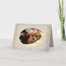 ポメラニア犬&テディベアがウェルカードを手に入れる カード