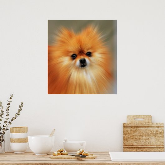ポメラニア犬 ポスター (キッチン)
