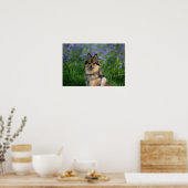 ポメラニア犬 ポスター (キッチン)