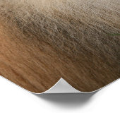 ポメラニア犬 ポスター (角)