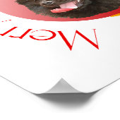 ポメラニア犬 ポスター (角)