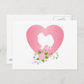 ポメラニア犬 ポストカード (正面/裏面)