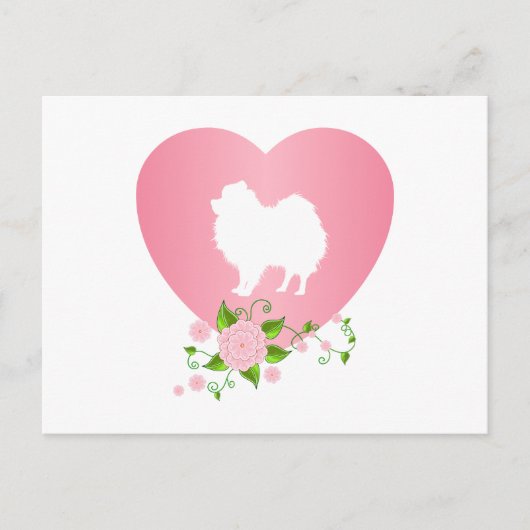 ポメラニア犬 ポストカード (正面)