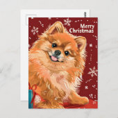 ポメラニア犬 ポストカード (正面/裏面)