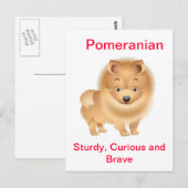 ポメラニア犬 ポストカード (正面/裏面)