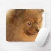 ポメラニア犬 マウスパッド (マウス)
