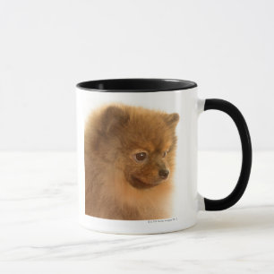 ポメラニア犬 マグカップ