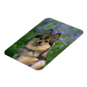 ポメラニア犬 マグネット (左側)