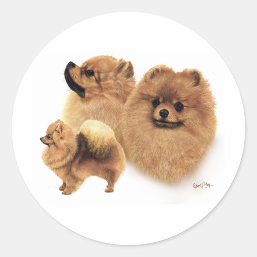ポメラニア犬 ラウンドシール (正面)