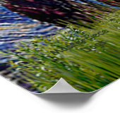 ポメラニア犬（黒） – スターリーナイト ポスター (角)