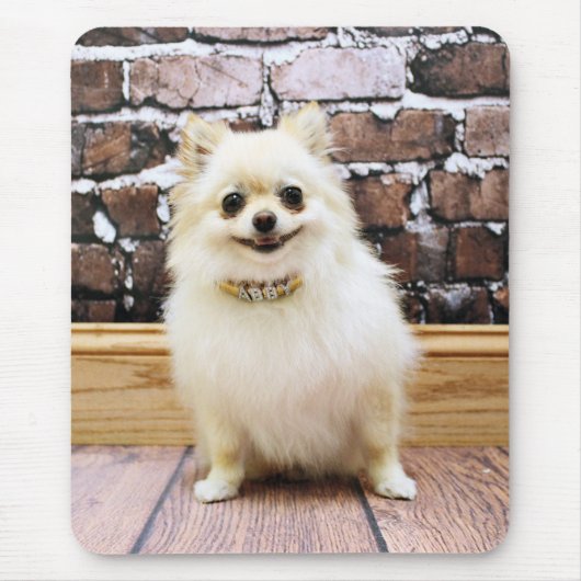 ポメラニア犬- Abbyの虚栄心つば マウスパッド (正面)