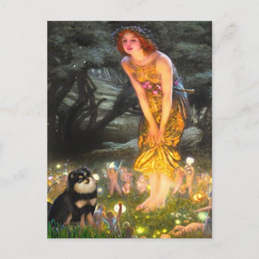 ポメラニア犬(BT) - MidEve ポストカード (正面)