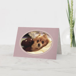 ポメラニア犬Get Well Card カード