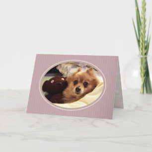 ポメラニア犬Get Well Card カード