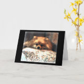 ポメラニア犬Notecard カード (黄色い花)