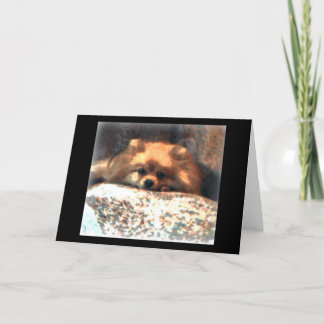 ポメラニア犬Notecard カード