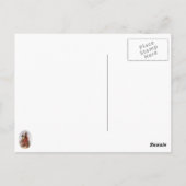 ポヤイの冒険はがき ポストカード (裏面)